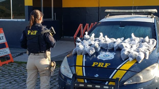 Polícia apreende mais de seis mil pinos de cocaína